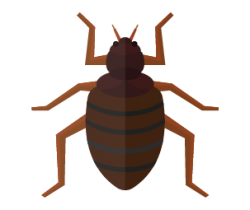 Bedbugs Icon